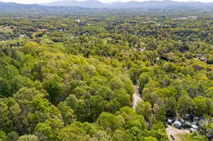 155 Spivey Mountain Rd, Asheville, NC 28806 - Photo 45