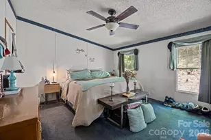 25 Weaver Ln, Black Mountain, NC 28711 - Photo 17