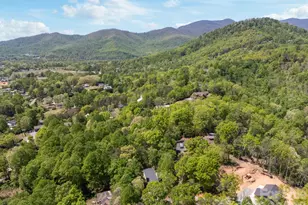 25 Weaver Ln, Black Mountain, NC 28711 - Photo 39