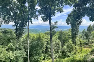 337 Rhododendron Ln, Burnsville, NC 28714 - Photo 41