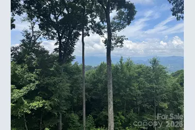 337 Rhododendron Lane, Burnsville, NC 28714 - Photo 35