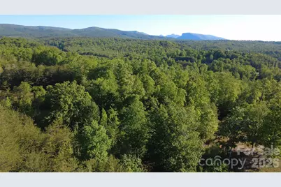 431 Ridge Point Road #7, Nebo, NC 28761 - Photo 13