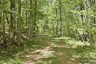 450 Washington St, Forest City, NC 28043 - Photo 5