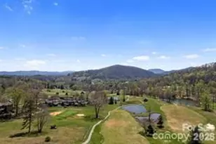 115 Chestnut Ridge Rd, Mills River, NC 28759 - Photo 43