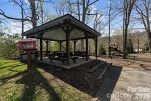 115 Chestnut Ridge Rd, Mills River, NC 28759 - Photo 47