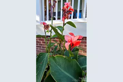 218 Wilson Street #A&B, Albemarle, NC 28001 - Photo 7