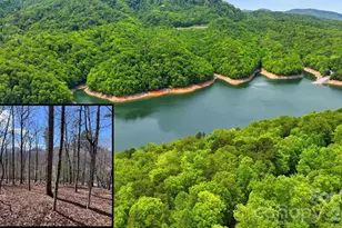 Lot 55-3 Fontana Loop S, Bryson City, NC 28713 - Photo 1