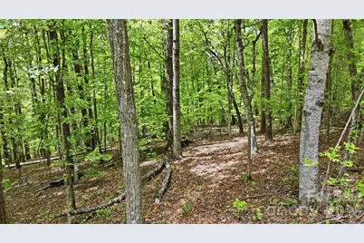 Lot 55-3 Fontana Loop S, Bryson City, NC 28713 - Photo 7