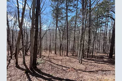 Lot 55-3 Fontana Loop S, Bryson City, NC 28713 - Photo 3