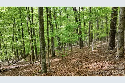 Lot 55-3 Fontana Loop S, Bryson City, NC 28713 - Photo 5