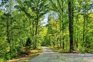 221 Hammer Hollow Dr, Marion, NC 28752 - Photo 47