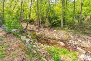 248 Blackberry Inn Rd, Weaverville, NC 28787 - Photo 21