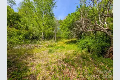 314 Byrd Creek Road, Green Mountain, NC 28740 - Photo 33