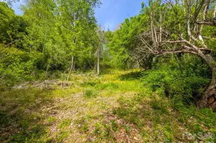 314 Byrd Creek Rd, Green Mountain, NC 28740 - Photo 33