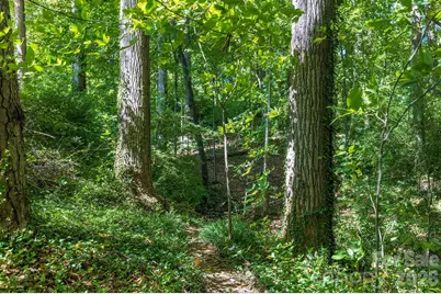 63 Orrinel Way, Asheville, NC 28806 - Photo 43