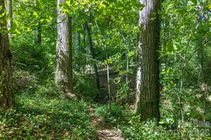 63 Orrinel Wy, Asheville, NC 28806 - Photo 43