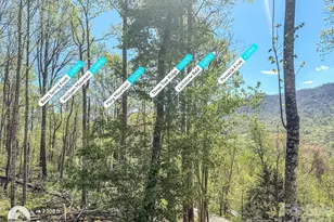 424 Arrington Acres Dr, Waynesville, NC 28786 - Photo 31