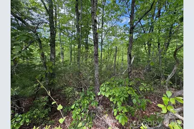 Lot 51A Wilderness Drive, Marion, NC 28752 - Photo 9