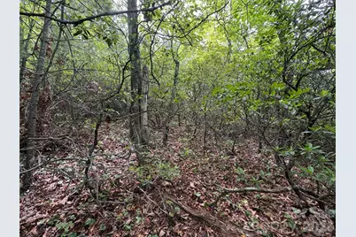 Lot 51A Wilderness Drive, Marion, NC 28752 - Photo 7