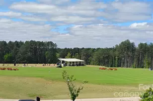 12000 Sam Snead Ct, Lancaster, SC 29720 - Photo 35