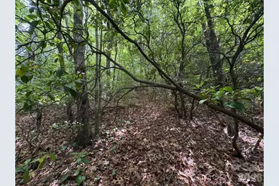 Lot 51B Wilderness Drive, Marion, NC 28752 - Photo 9