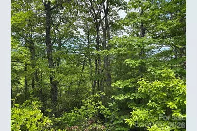 Lot 51B Wilderness Drive, Marion, NC 28752 - Photo 13