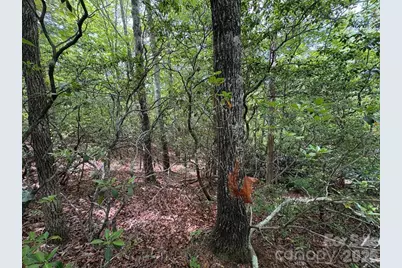 Lot 51B Wilderness Drive, Marion, NC 28752 - Photo 11