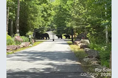 Lot 51B Wilderness Drive, Marion, NC 28752 - Photo 3