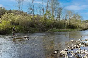 8186 Nc 183 Hwy, Linville Falls, NC 28657 - Photo 9