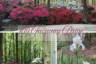 109 Fairway Dr, Fort Mill, SC 29715 - Photo 45