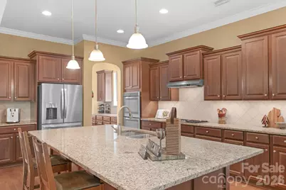 12820 Elkhorn Drive, Charlotte, NC 28278 - Photo 11