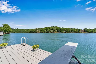 462 Charlotte Drive, Lake Lure, NC 28746 - Photo 29