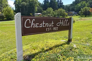 72 Chestnut Hill Rd, Gerton, NC 28735 - Photo 47