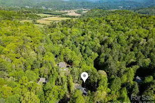 492 Falls Creek Rd, Pisgah Forest, NC 28768 - Photo 47