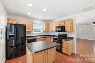322 Deep Water Ln, Fort Mill, SC 29715 - Photo 11