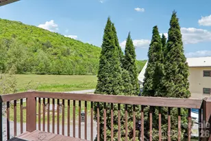 12 Indian Trace Rd, Maggie Valley, NC 28751 - Photo 23