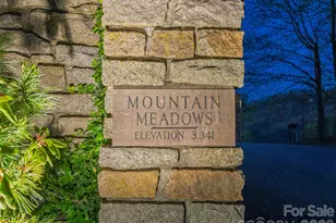 100 Big Spring Dr, Asheville, NC 28804 - Photo 5