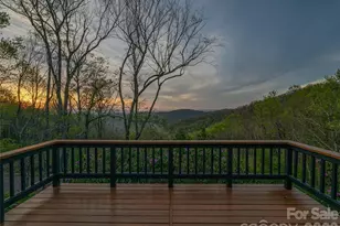 100 Big Spring Dr, Asheville, NC 28804 - Photo 9