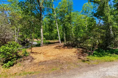 99999 Meeks Road, Black Mountain, NC 28711 - Photo 1