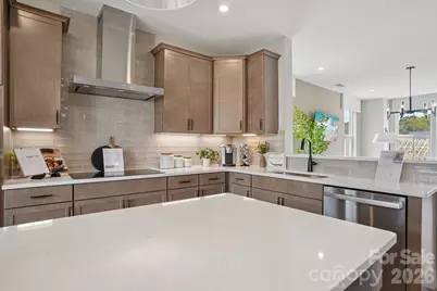 6225 Intertwine Street, Charlotte, NC 28278 - Photo 11