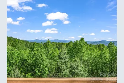 603 Pace Mountain Road, Saluda, NC 28773 - Photo 15
