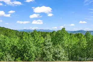 603 Pace Mountain Rd, Saluda, NC 28773 - Photo 15