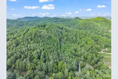 603 Pace Mountain Road, Saluda, NC 28773 - Photo 41
