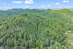 603 Pace Mountain Rd, Saluda, NC 28773 - Photo 41