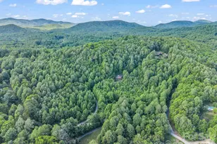 603 Pace Mountain Rd, Saluda, NC 28773 - Photo 39