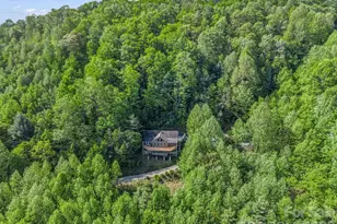 603 Pace Mountain Rd, Saluda, NC 28773 - Photo 35