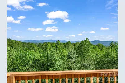 603 Pace Mountain Road, Saluda, NC 28773 - Photo 13