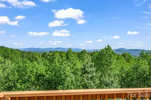 603 Pace Mountain Rd, Saluda, NC 28773 - Photo 13