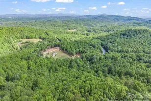 603 Pace Mountain Rd, Saluda, NC 28773 - Photo 43