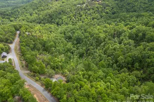 202 Fall Creek Dr, Bostic, NC 28018 - Photo 45
